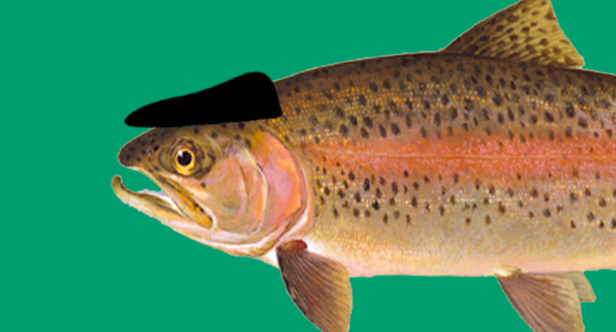 Fantasy Football Trout